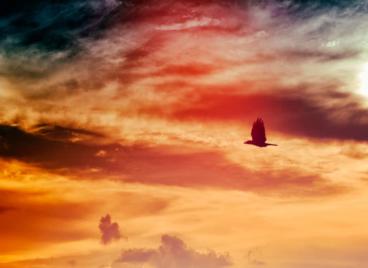 Being Successful Is a Personal Choice